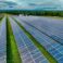 Aerial,View,Of,Solar,Farm.,Sustainable,Renewable,Energy,And,Modern