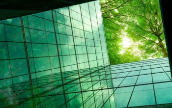 Eco-friendly,Building,In,The,Modern,City.,Green,Tree,Branches,With