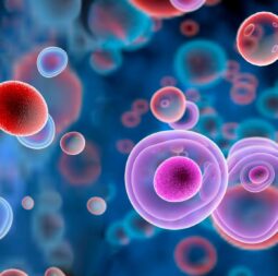 T,Cells,Attacking,Cancer,Cells,,3d,Illustration