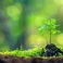 FINANCING-CAPITAL-RAISING-shutterstock_2434349361-2048x1365 1